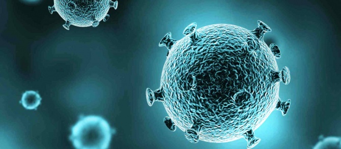 ����������� ���������� ����� ����� �� ������� ������� ��������� � �����������, ������ ������������� � ����� ������������ �����.